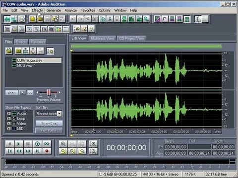 edit in adobe audition greyed out
